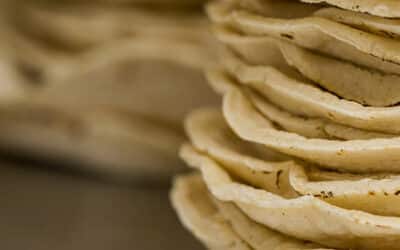 How to make Soft Corn Tortillas